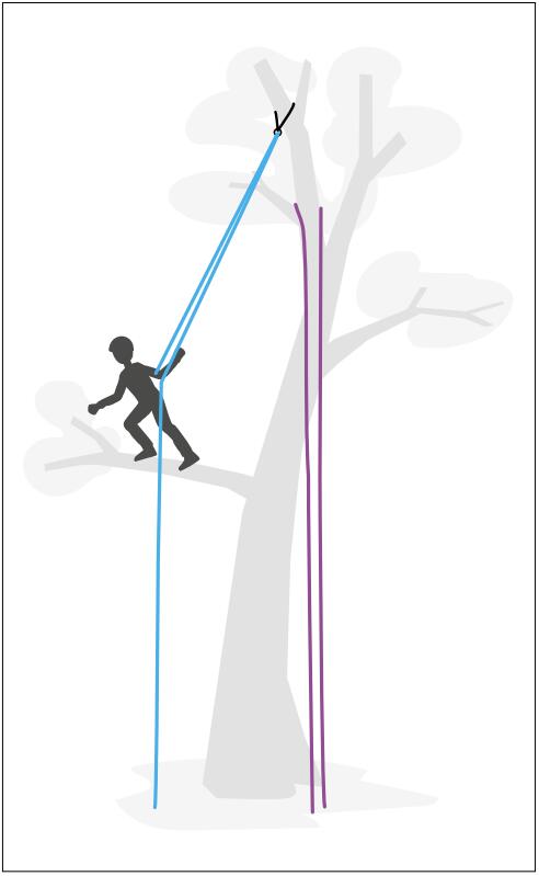 樹上作業安全繩索