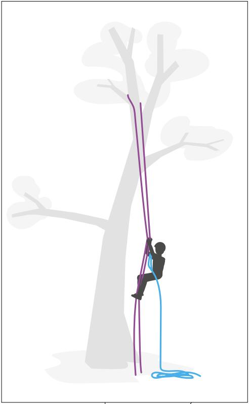 樹上作業安全繩索