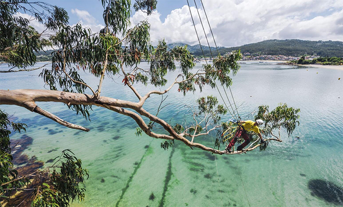 樹上作業安全繩索