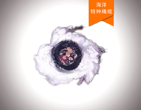 縱向載荷絞車信號纜繩