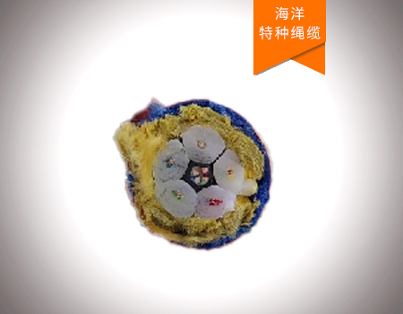萬米海洋絞車纜繩
